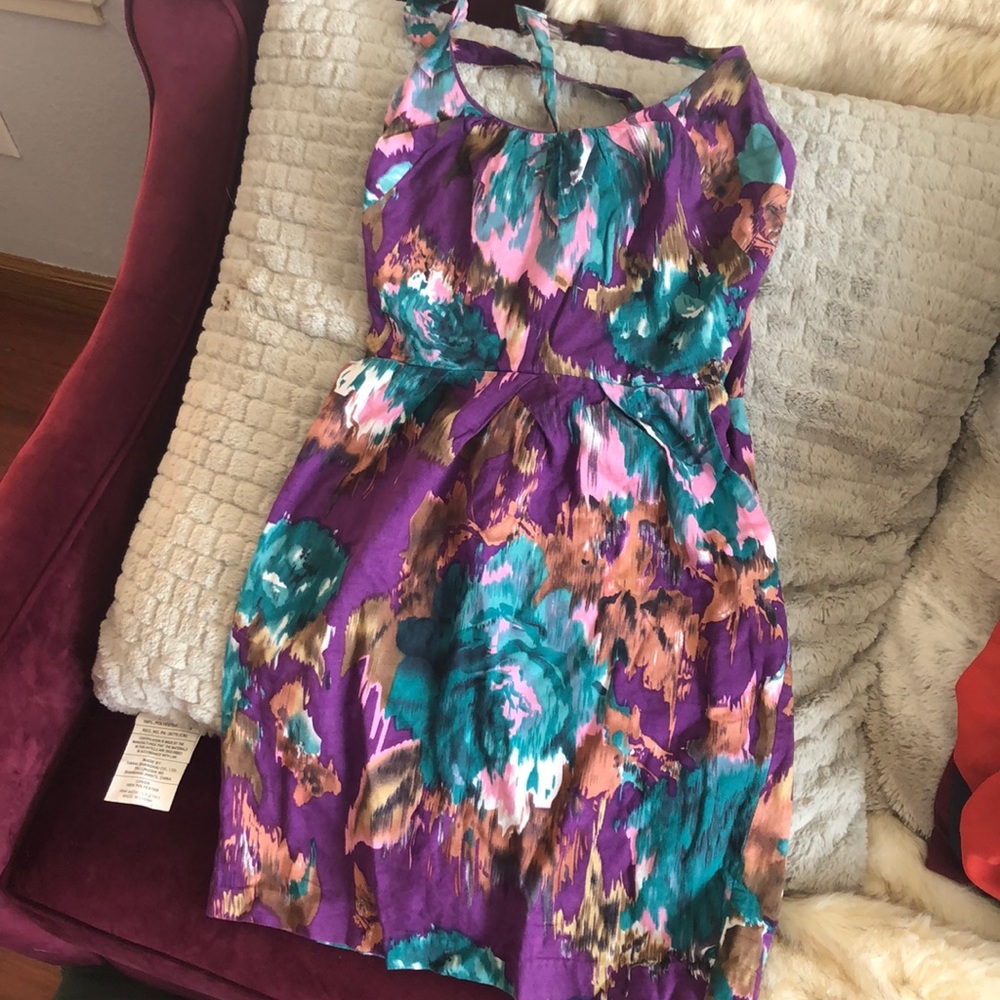 BB Dakota purple water color dress